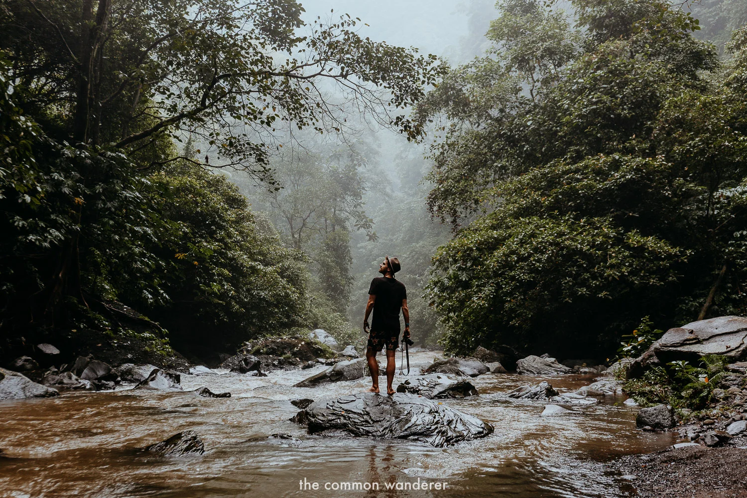A guide to Sekumpul waterfall, Bali
