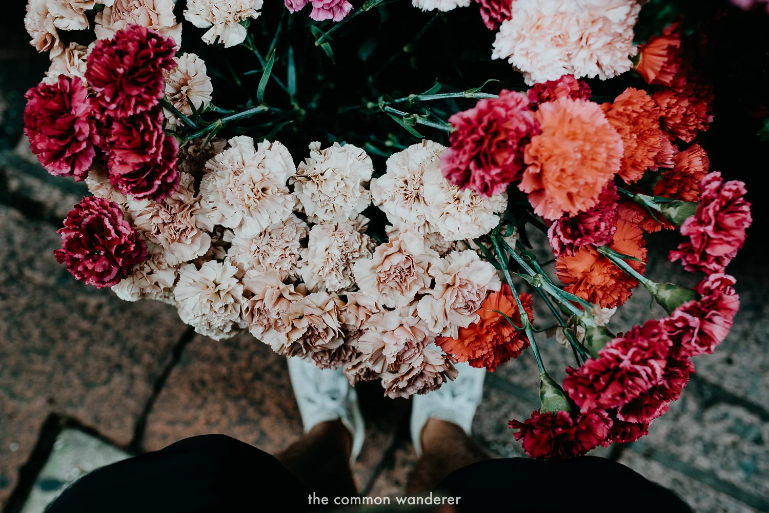The_Common_Wanderer_best_things_to_do_Bologna-14.jpg