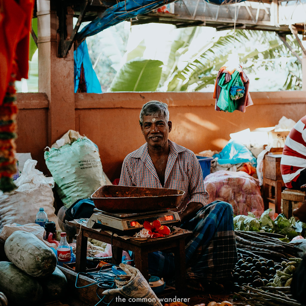 The_Common_Wanderer_sri_lanka_photos-89.jpg