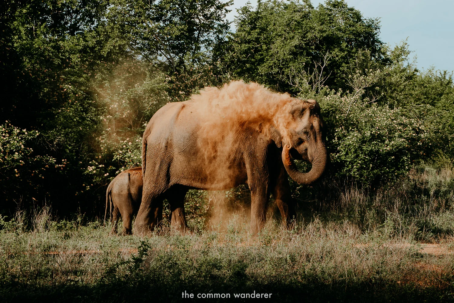 Best Sri Lanka photos