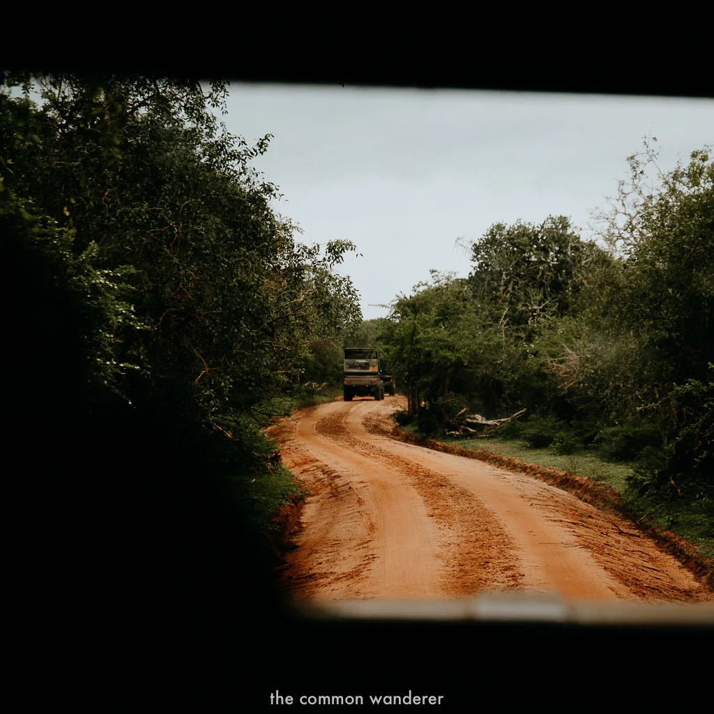 Best Sri Lanka photos