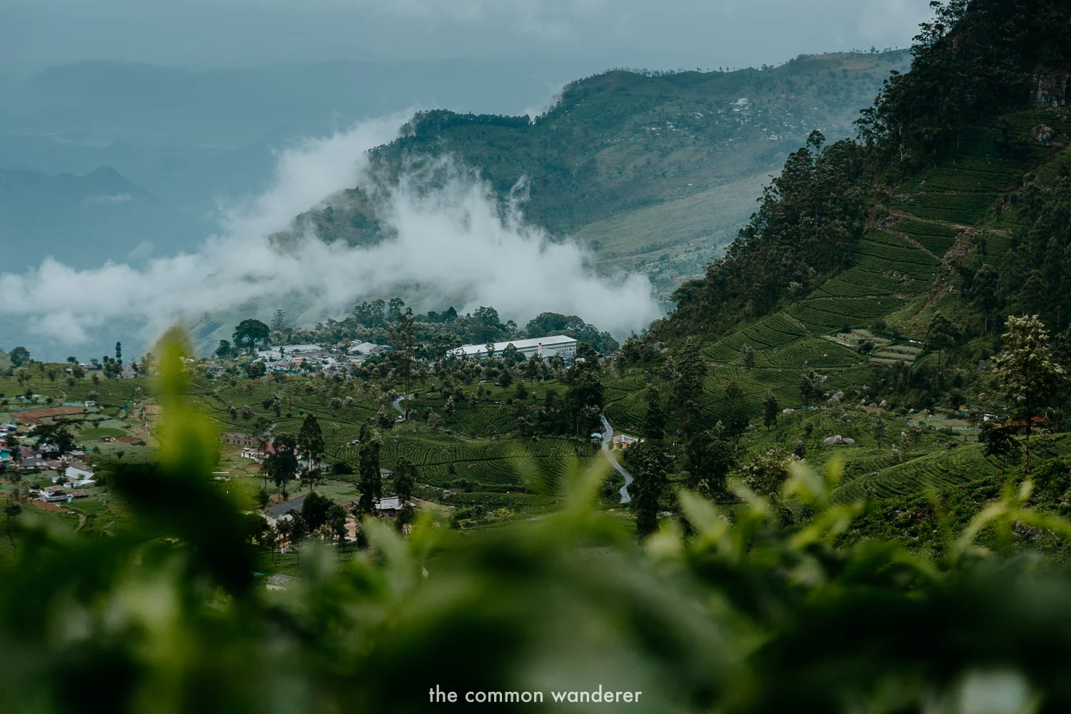 Best Sri Lanka photos