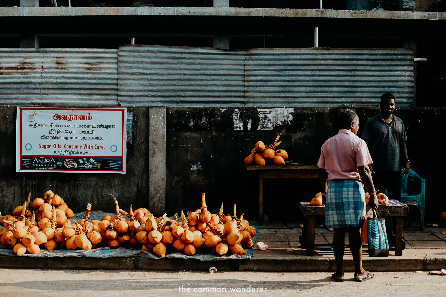 The_Common_Wanderer_sri_lanka_photos-122.jpg