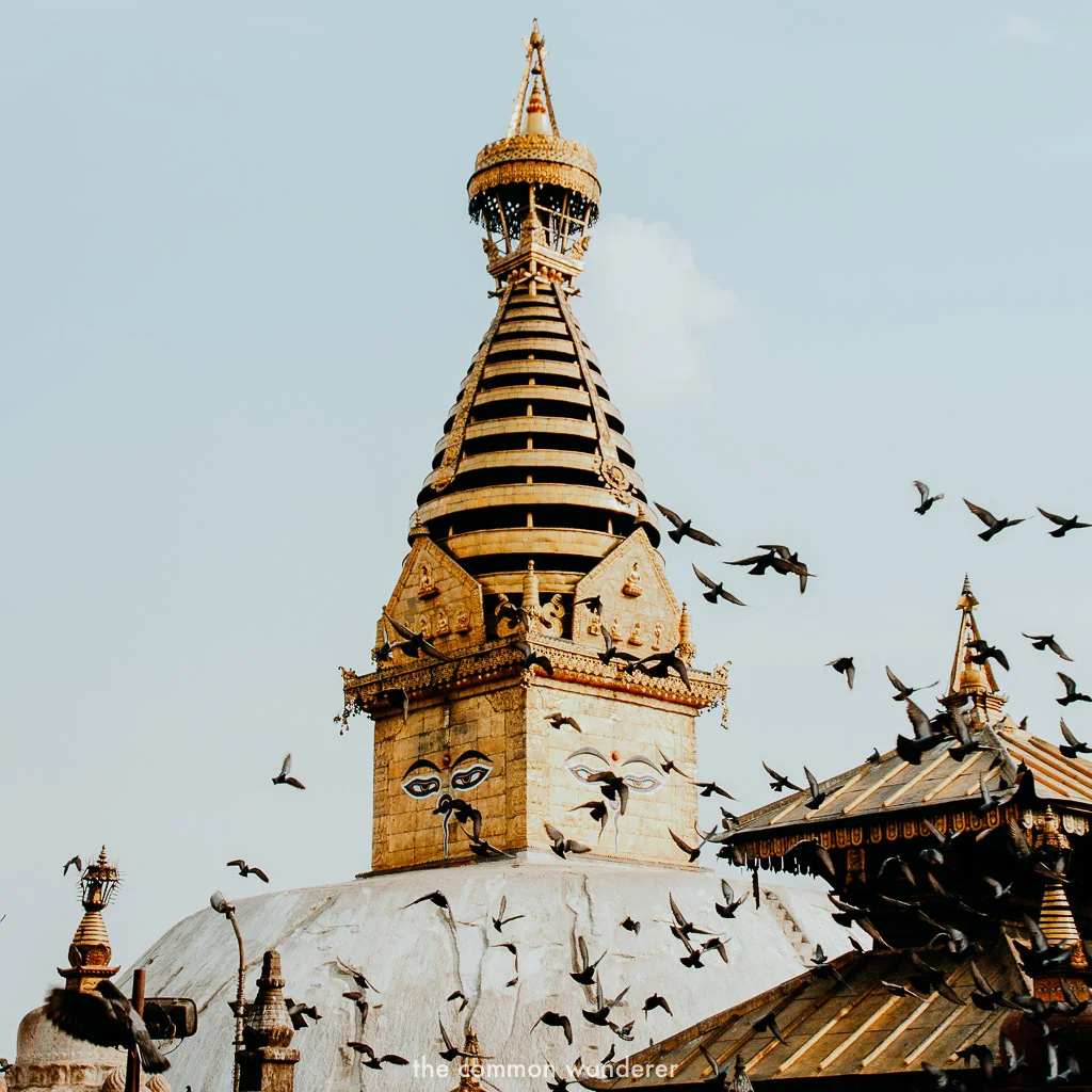 best things to do in Nepal is visiting Swayambhunath stupa