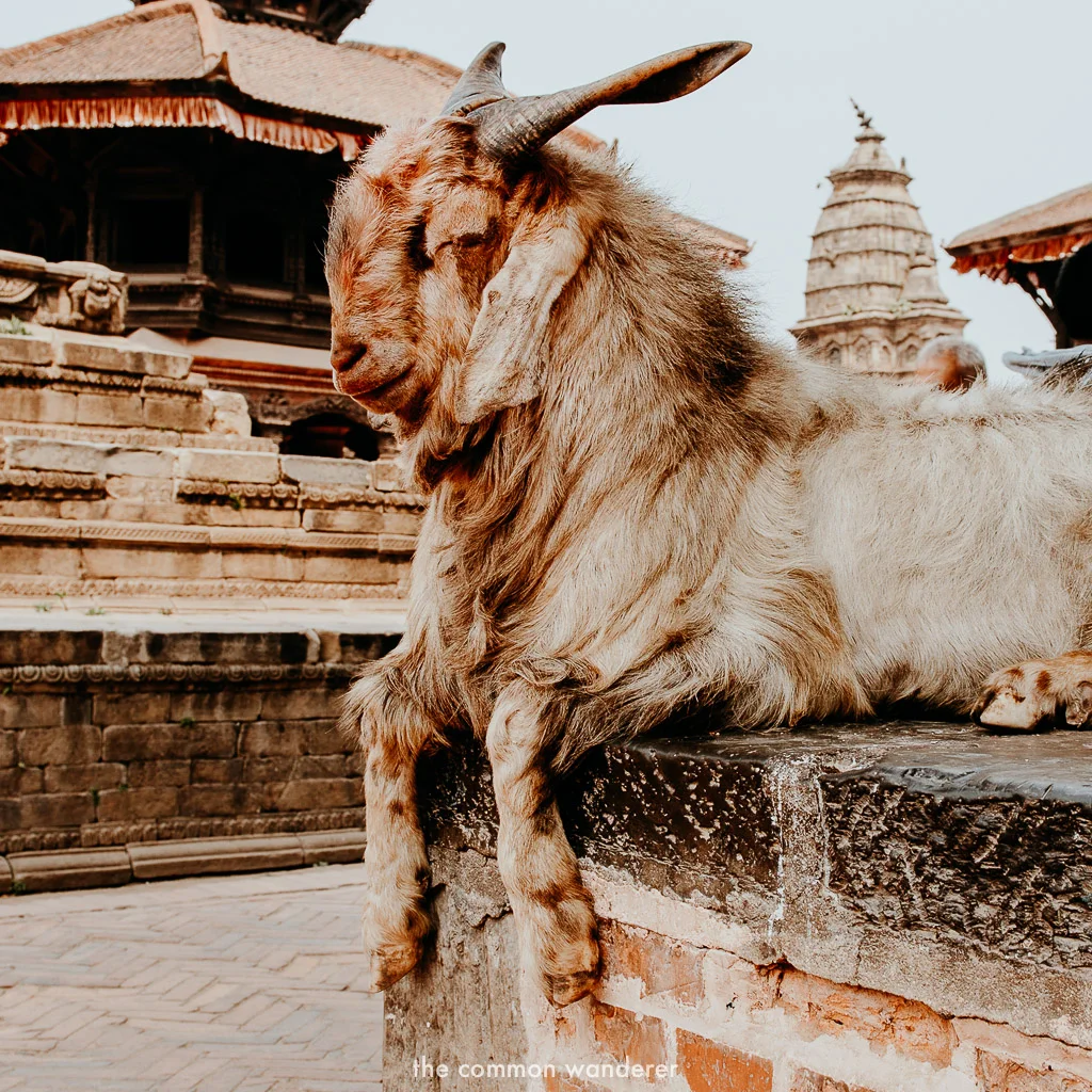 Best things to do in Kathmandu - Bhaktapur Durbar Square
