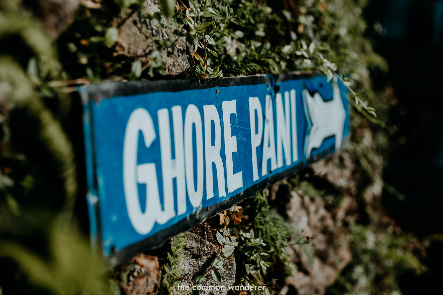 HIking the Ghorepani Poon Hill trek in Nepal