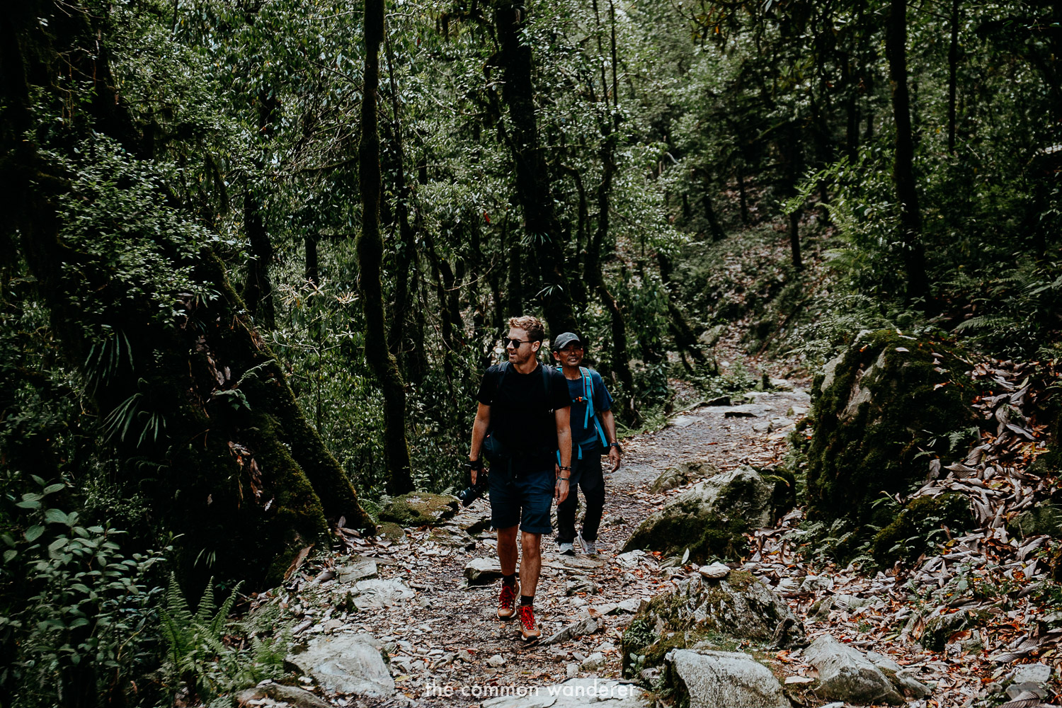 Hiking through the rainforests of Poon Hill Ghorepani trek, Nepal