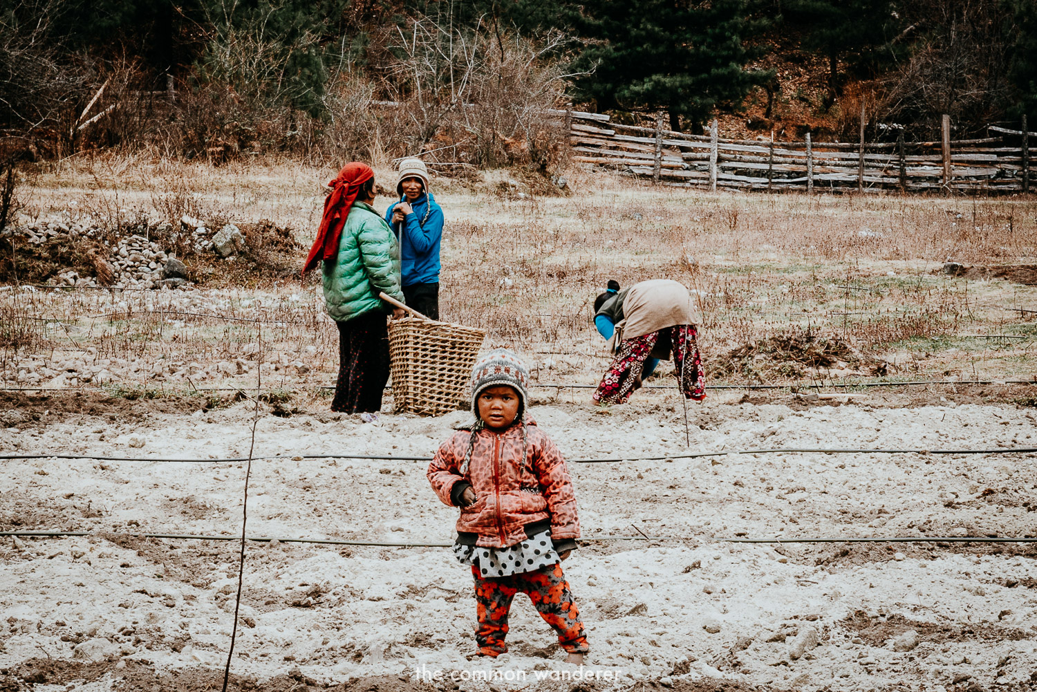 Locals tending to fields on the Annapurna Circuit, Nepal