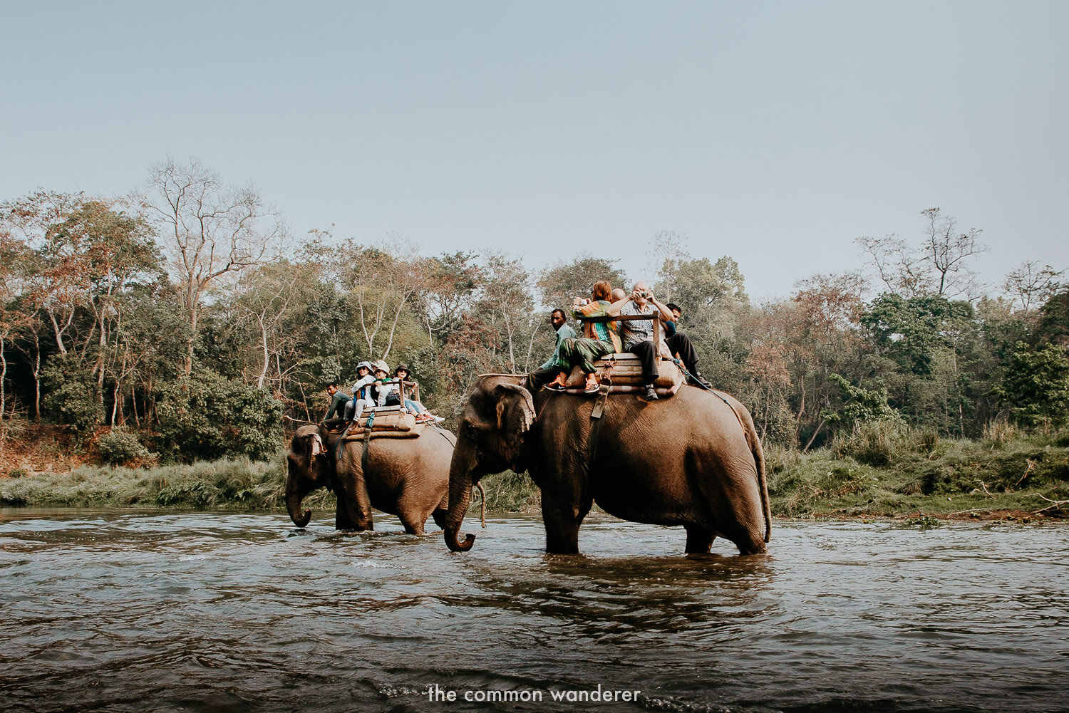 Riding elephants is a very bad practice