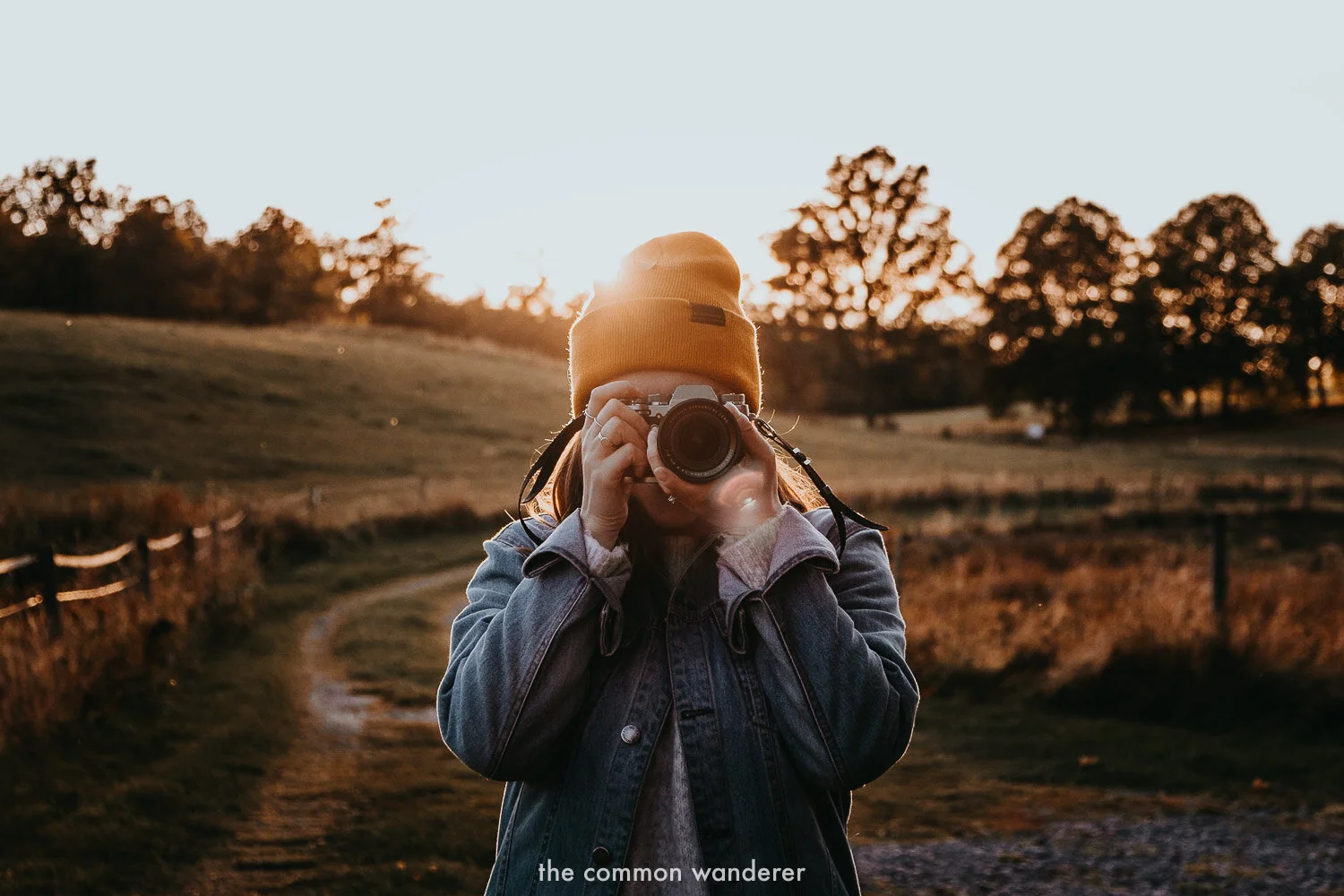 The Common Wanderer monthly update - September 2019