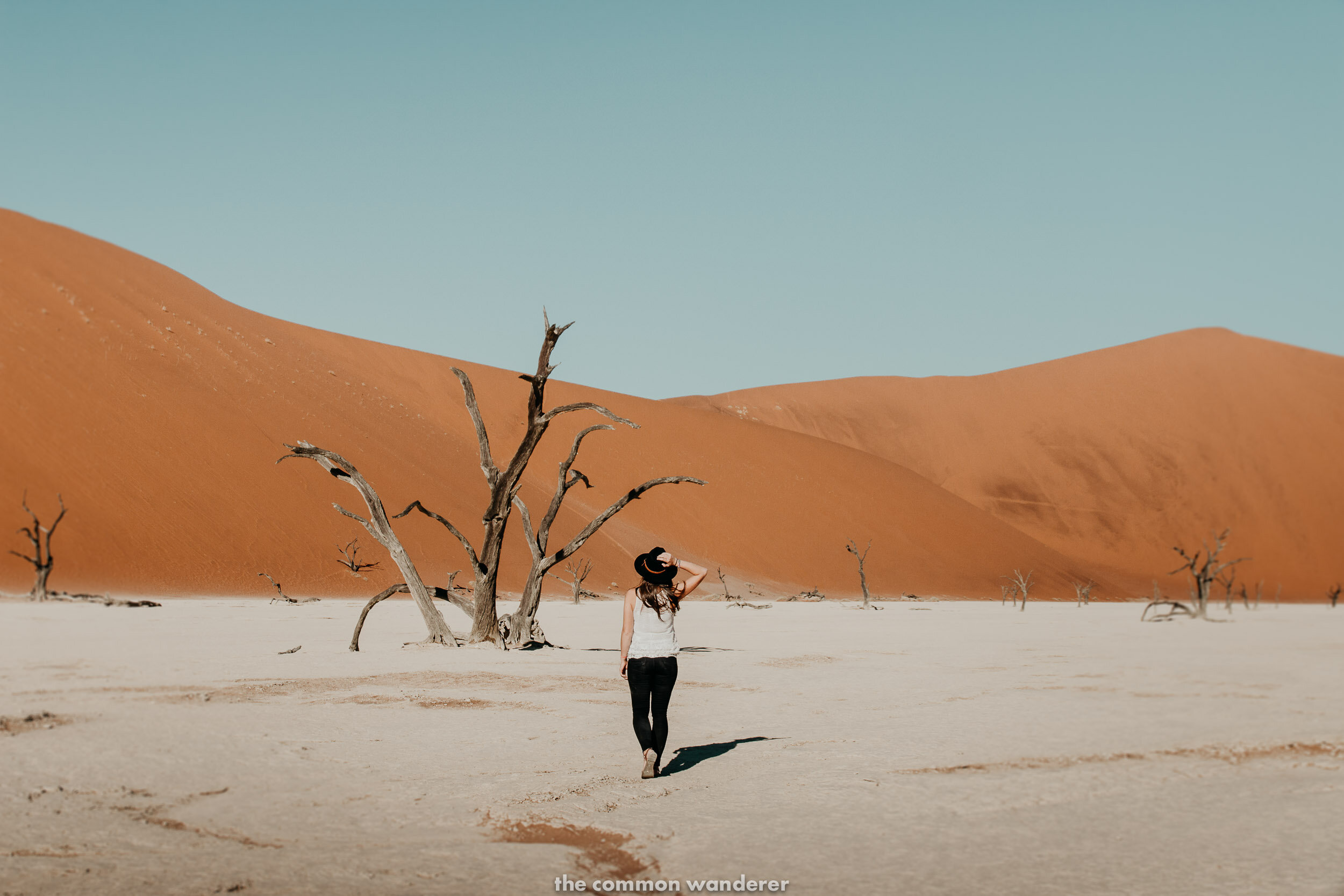 Deadvlei clay pan at Sossusvlei - things to know namibia