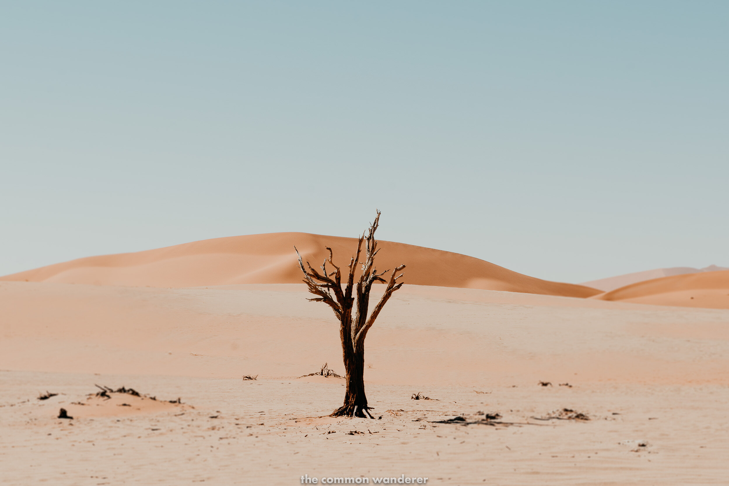 Photography in Namibia is very technical