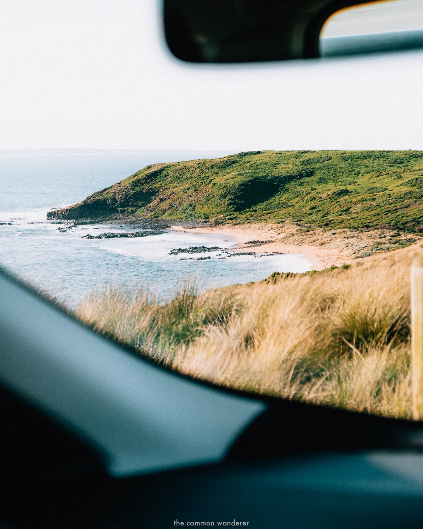 The_Common_Wanderer_Phillip_Island_-9.jpg