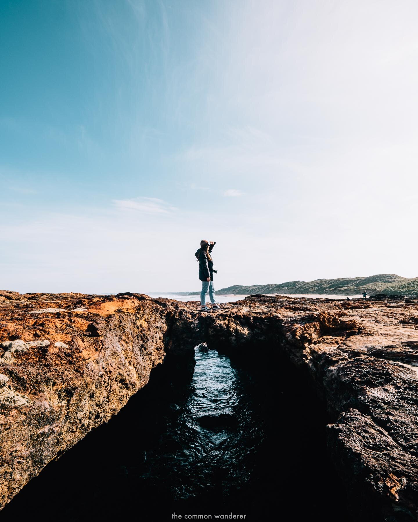 The_Common_Wanderer_Phillip_Island_-68.jpg