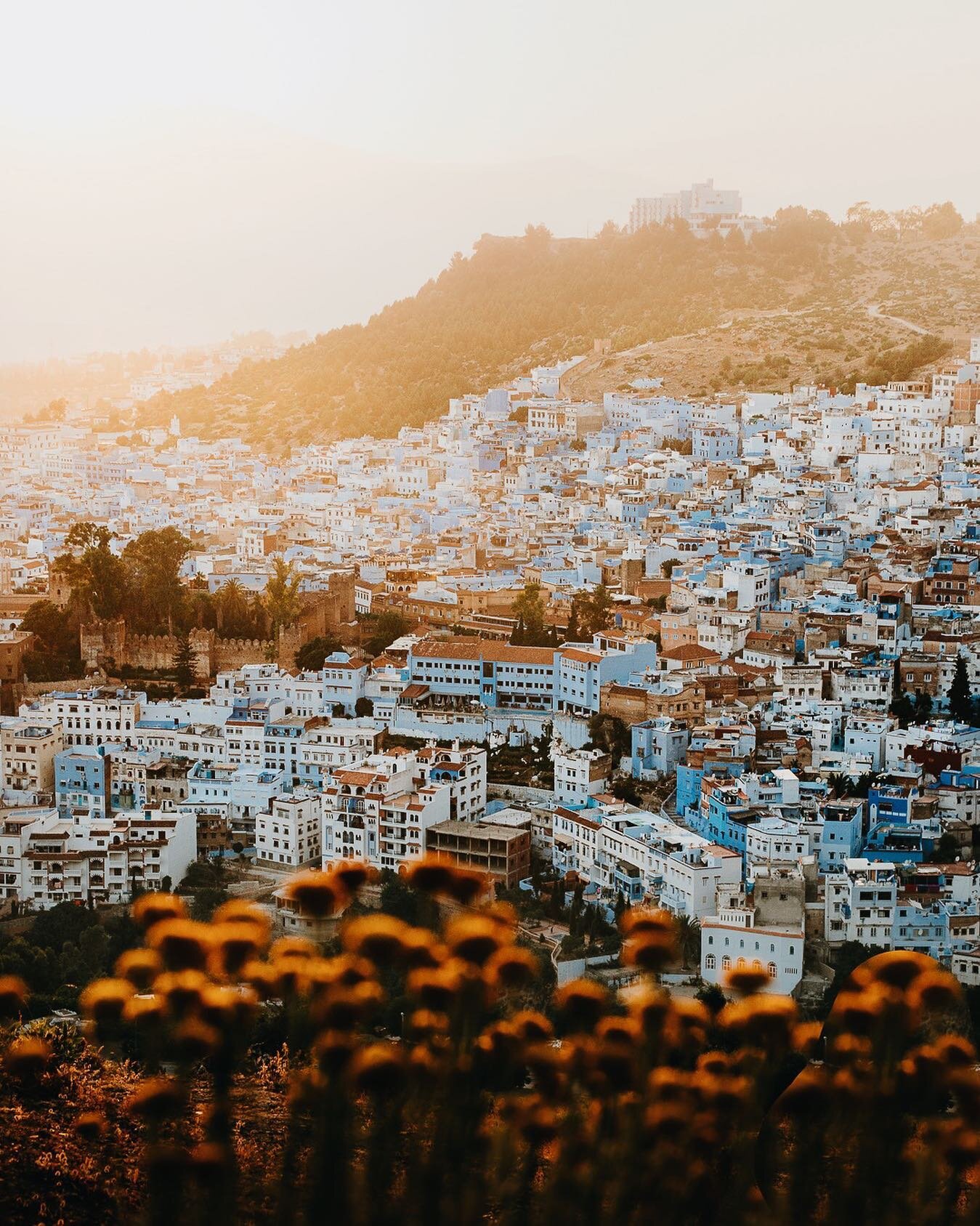 The blue pearl: Chefchaouen 💙

Looking back on old trips and hard drives full of photos, we stumbled across this epic sunset while on commission for @intrepidtravel (you know, when we could actually work 😂).

It used to be moments like these that m