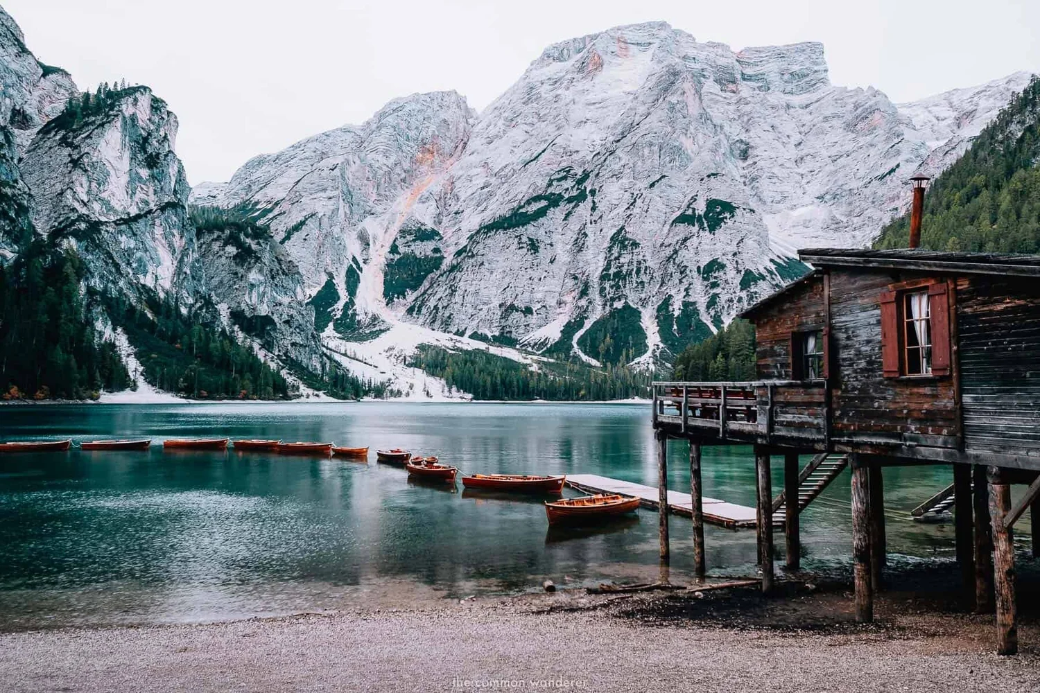 What To Expect On Your G Adventures Local Living Sorrento Tour Lemons Locals And Limoncello The Common Wanderer