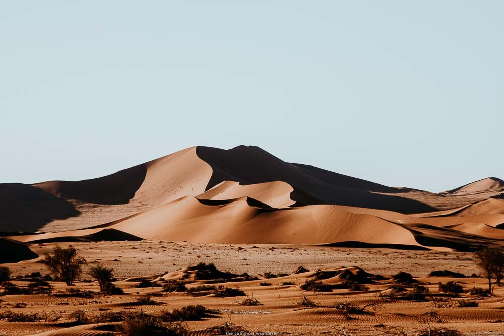 A Complete Guide To The Incredible Sossusvlei Dunes, Namibia | The Common  Wanderer