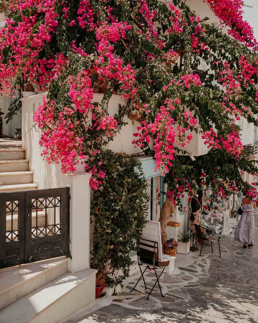 Naxos Chora Guide: The Best Attractions, Food & Hotels | The Common ...