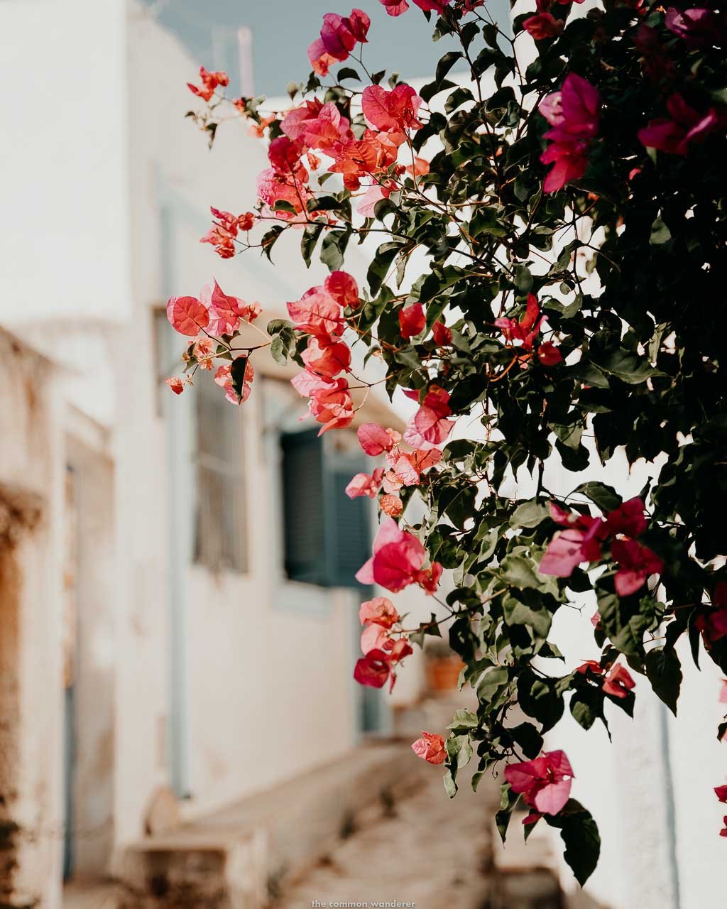 A Guide To The Enchanting Village of Lefkes, Paros | The Common Wanderer