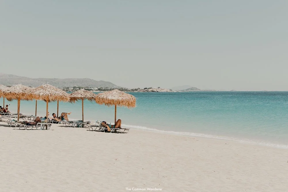 https://images.squarespace-cdn.com/content/v1/5a3bb03b4c326d76de73ddaa/1652234907790-XHLJOPA6JUPX9YF8QYGF/The_Common_Wanderer_-624-3.jpg?format=1000w