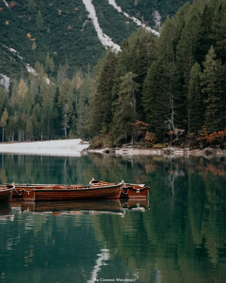 The_Common_Wanderer_-115.jpg