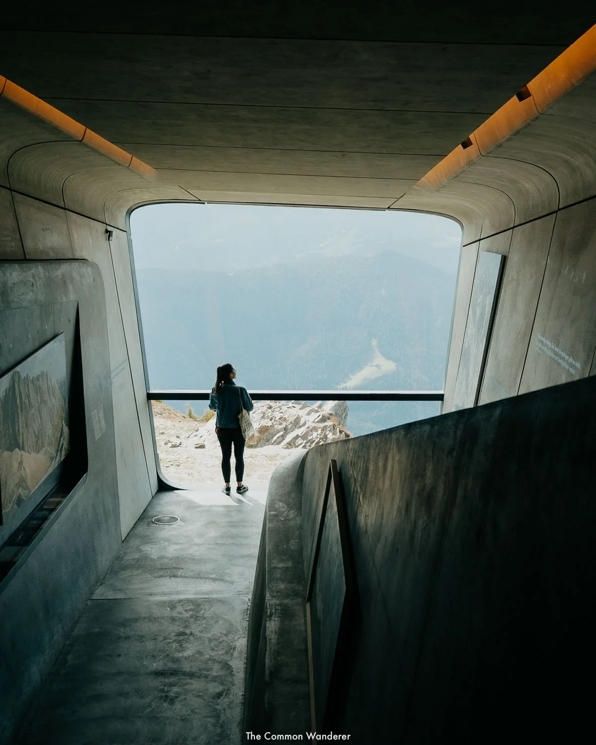 The_Common_Wanderer_-6816.jpg
