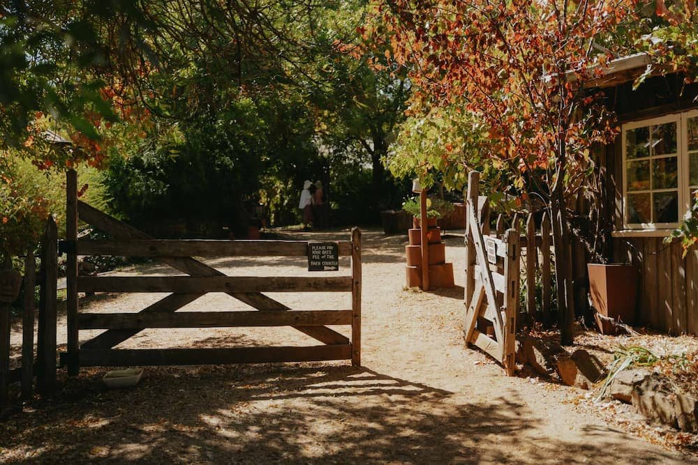 Visiting Lavandula Swiss Italian Farm, Daylesford: The Complete 2026 Guide