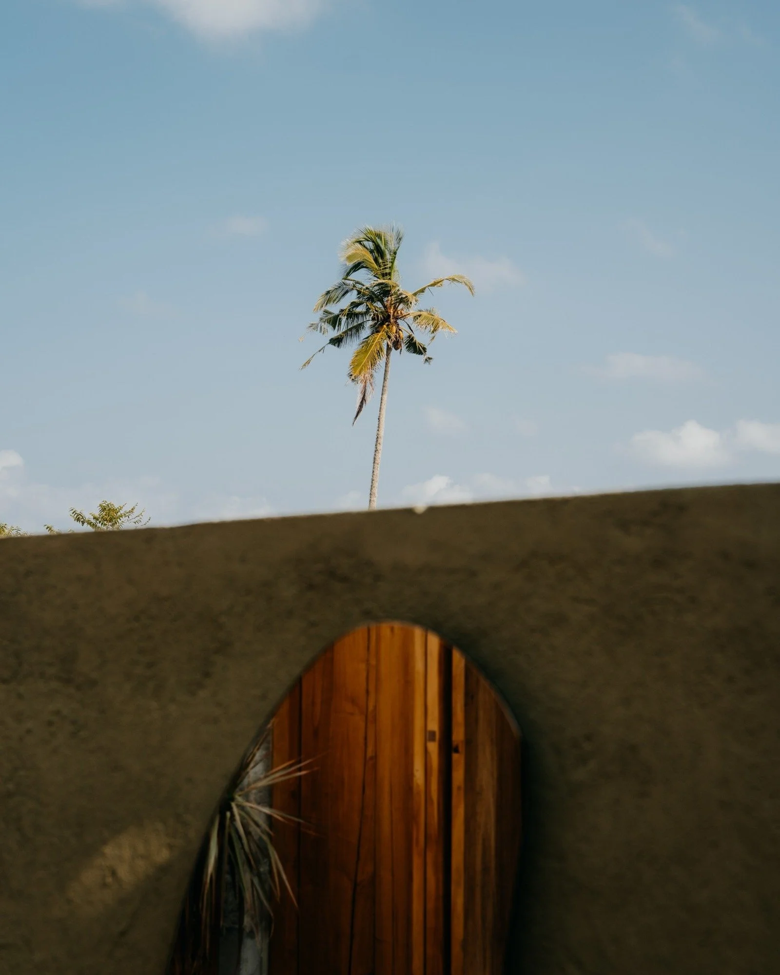 The_Common_Wanderer_-208.jpg