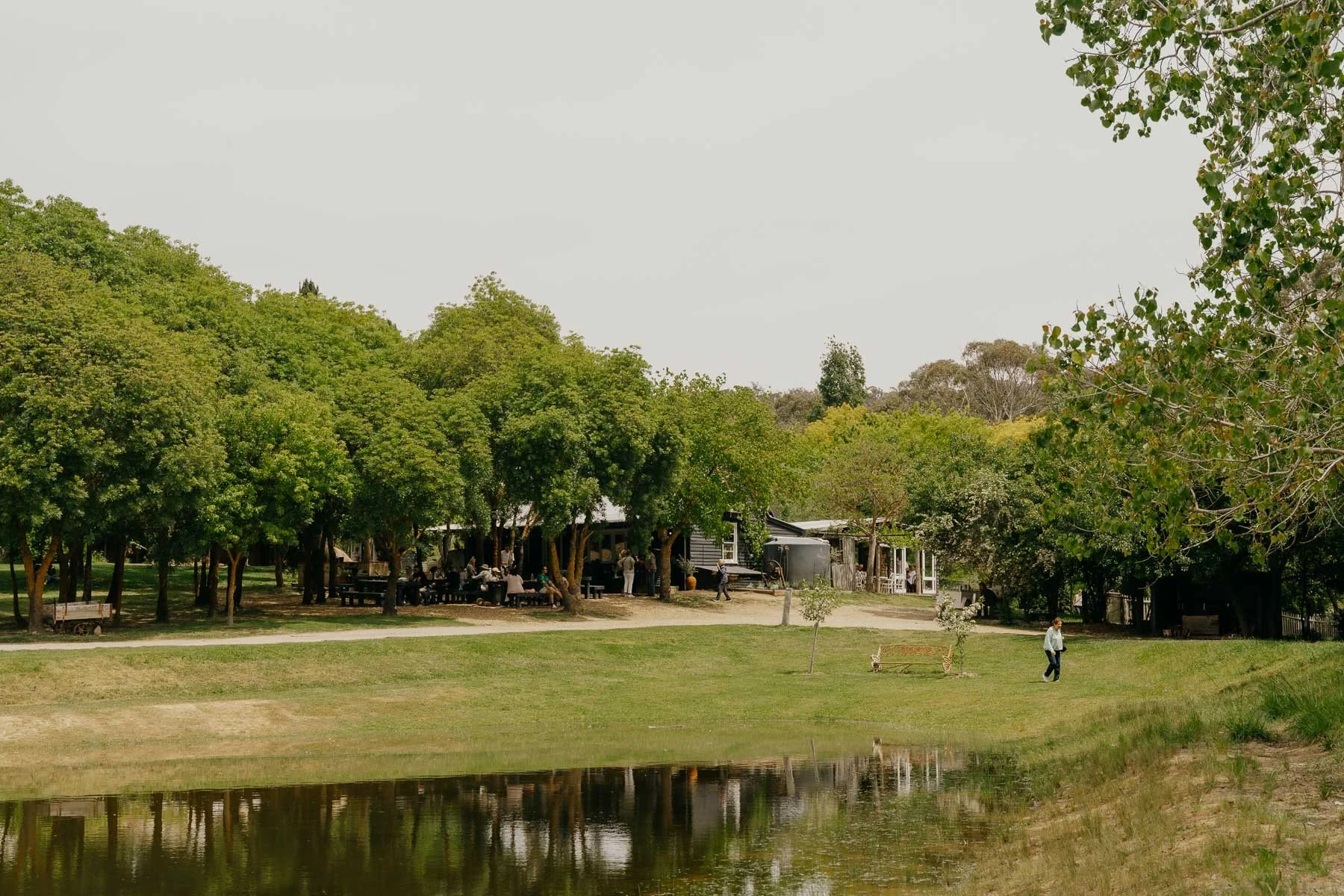 The lake and cafe at Lavandula  Farm