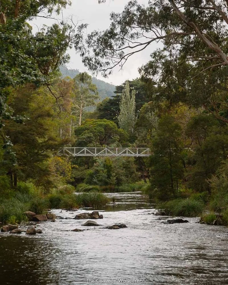 10 + Incredible Things To Do In Warburton, Victoria (Where To Eat + Drink) The Common Wanderer