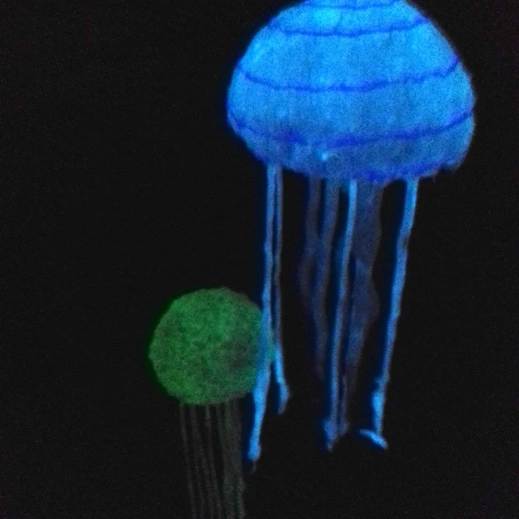035.jpg