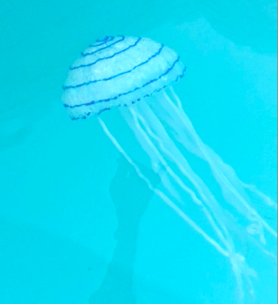 063.png
