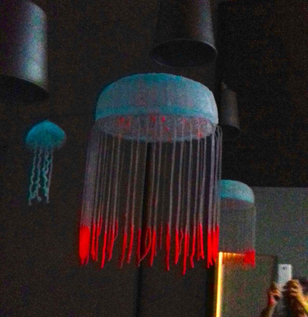 Phosphorescent halitrephes