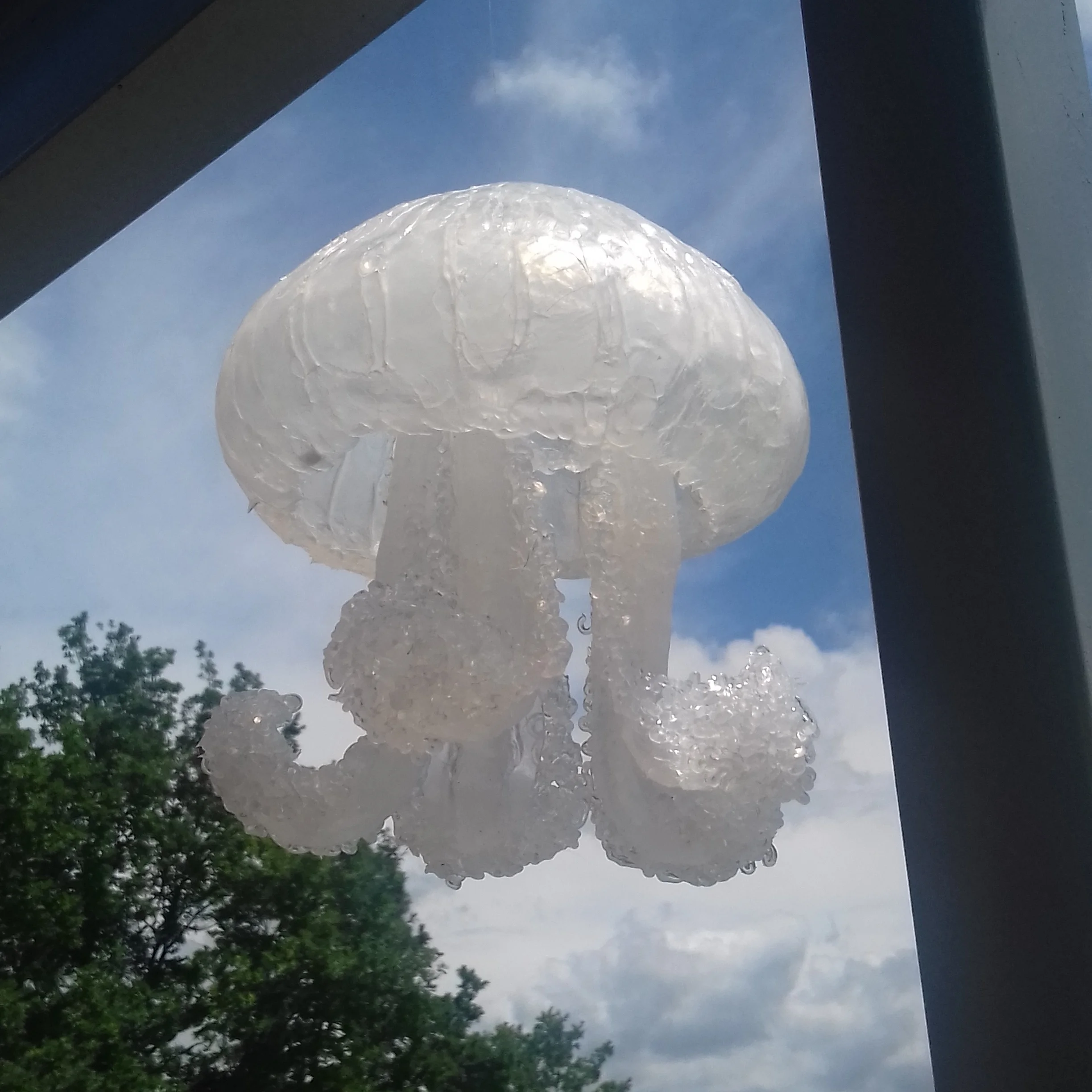 20180607_140031.jpg