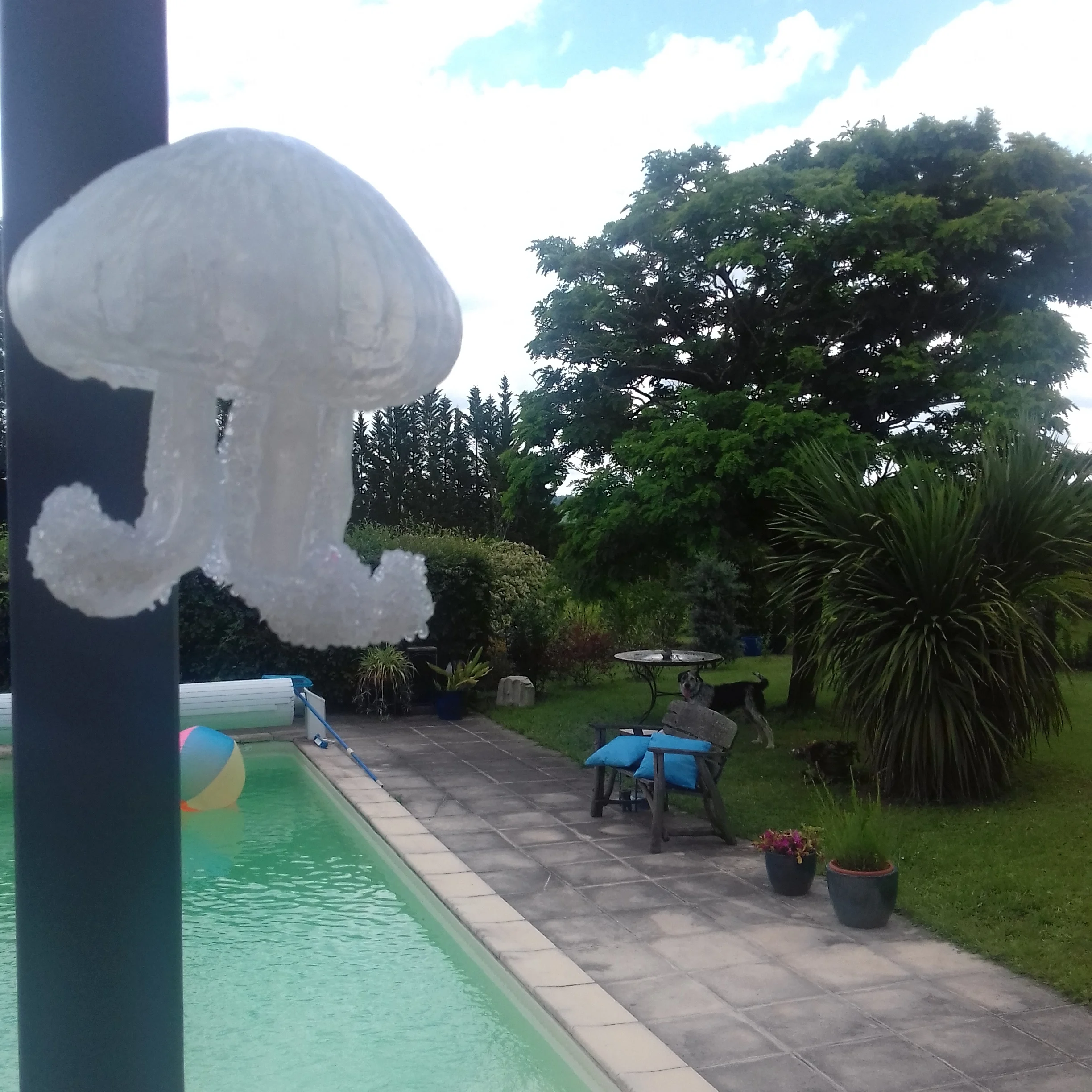 20180607_135135.jpg