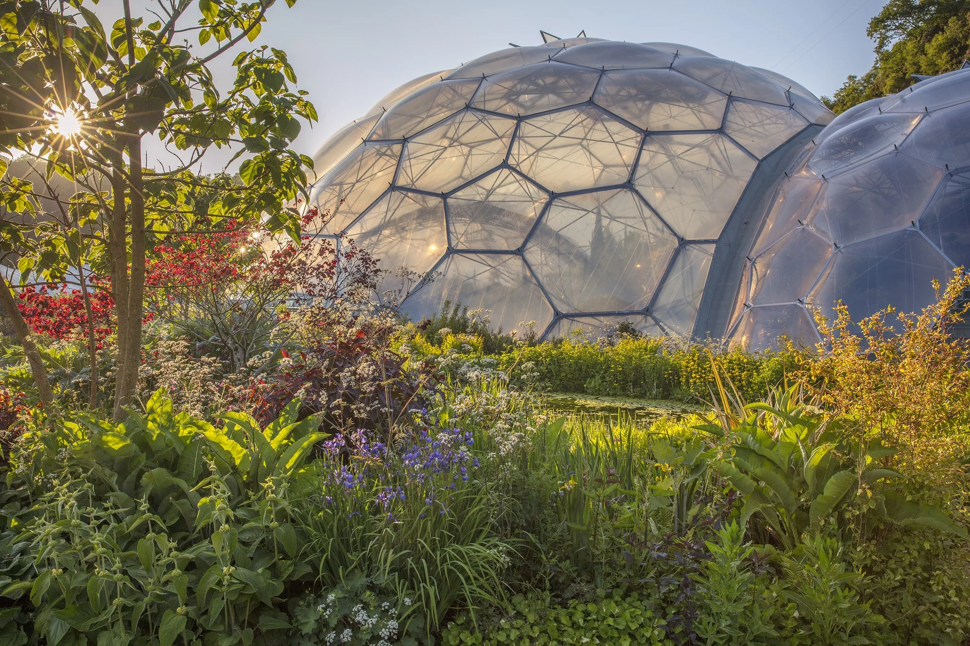 Stunning unreleased imagery shows the breathtaking beauty of the Eden Project