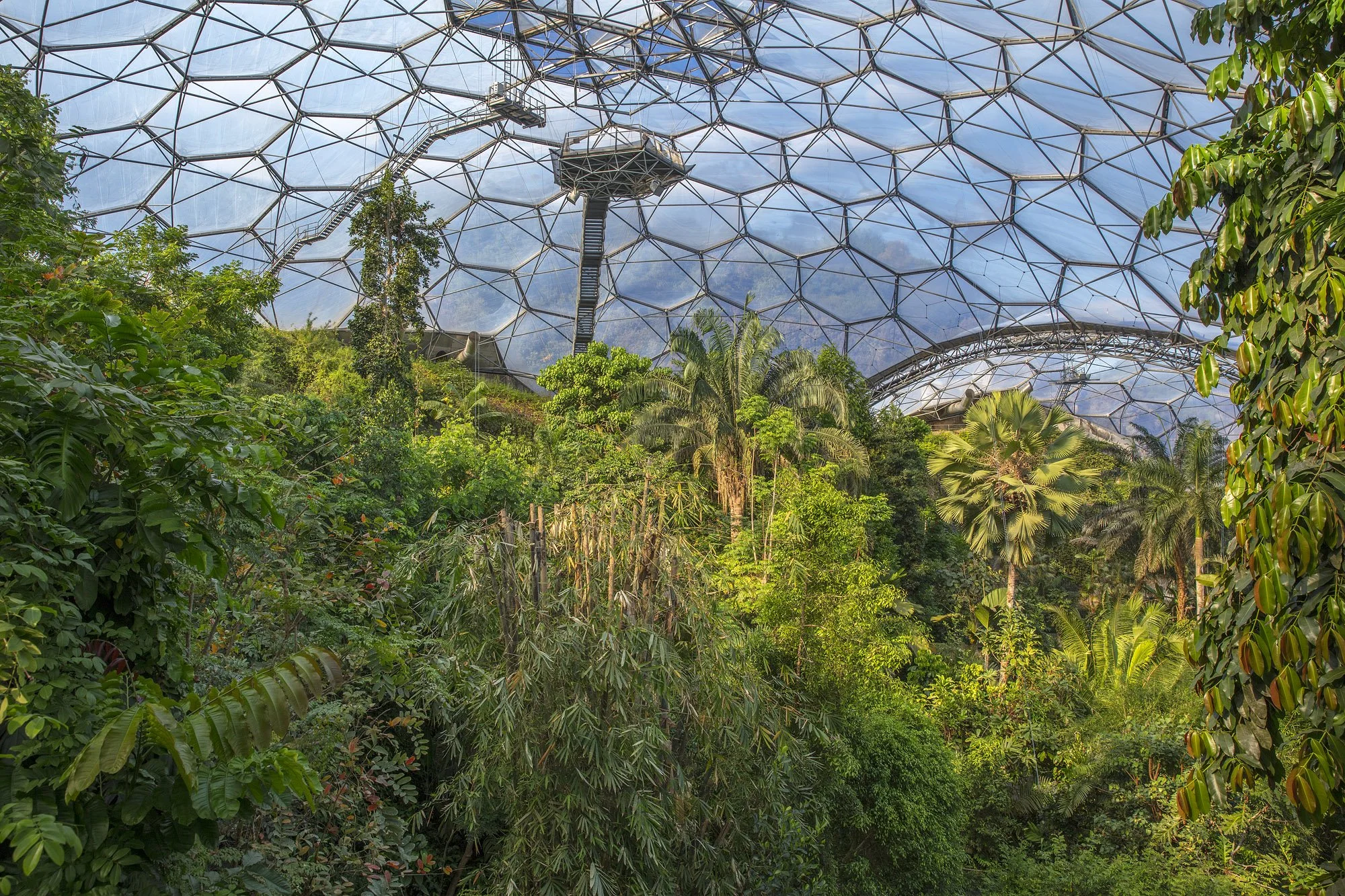 clive-nichols-may-2025-eden-project-rainforest-biome-1.jpg
