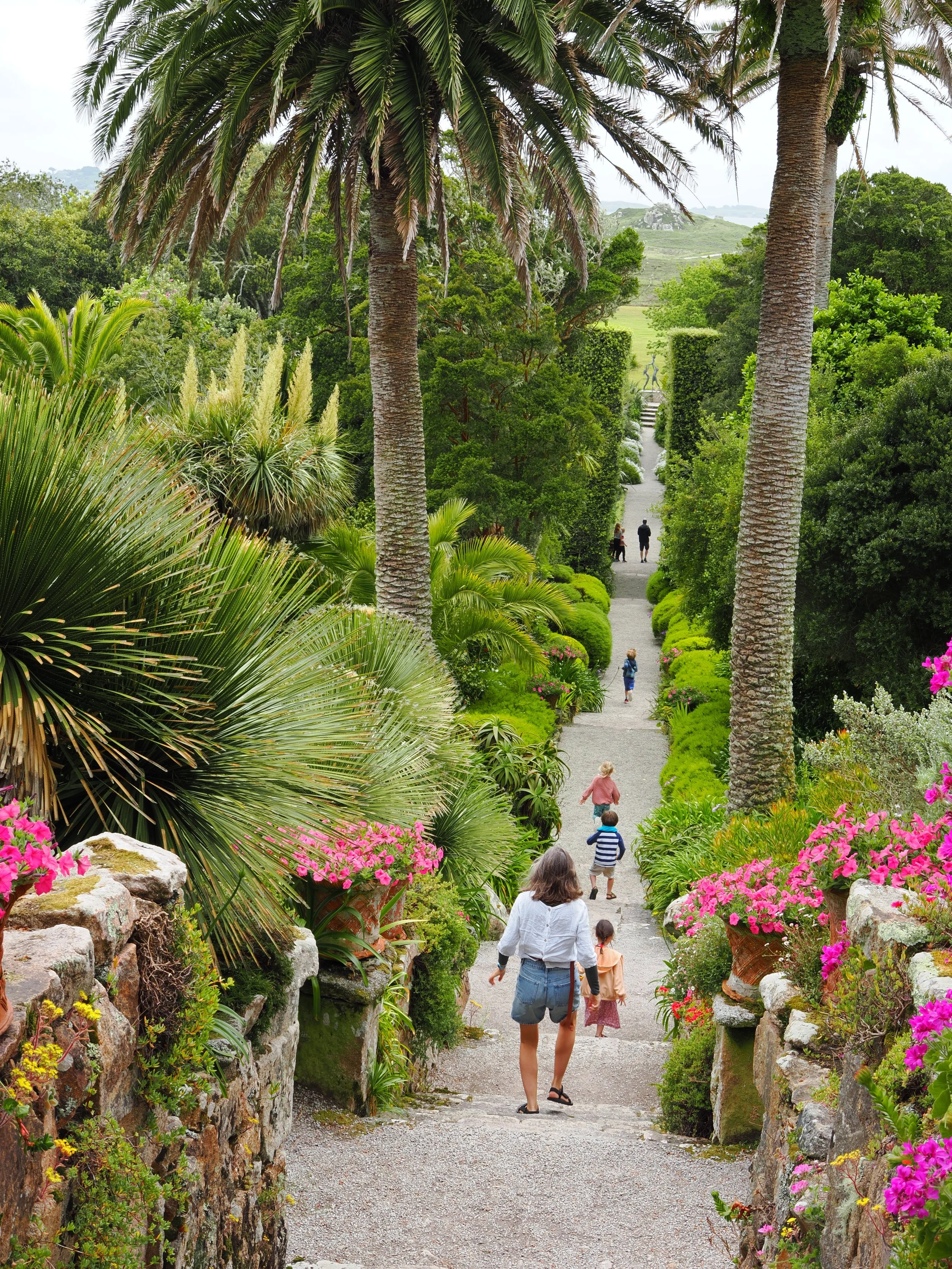 Tresco Abbey Garden.JPG