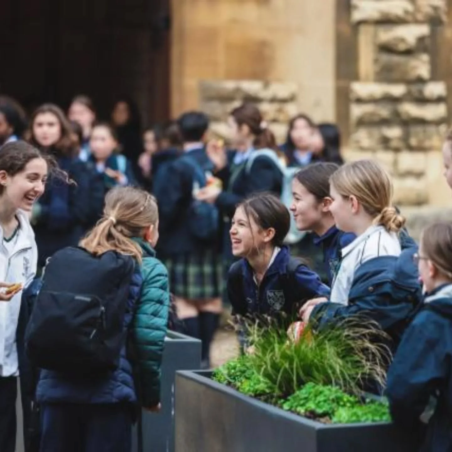 Lots of interesting work with new client @cheltladiescoll as I'm getting to know the interim marketing manager role - I'll be working with them until Christmas. 

Some really insightful market research work, developing the school magazine and looking