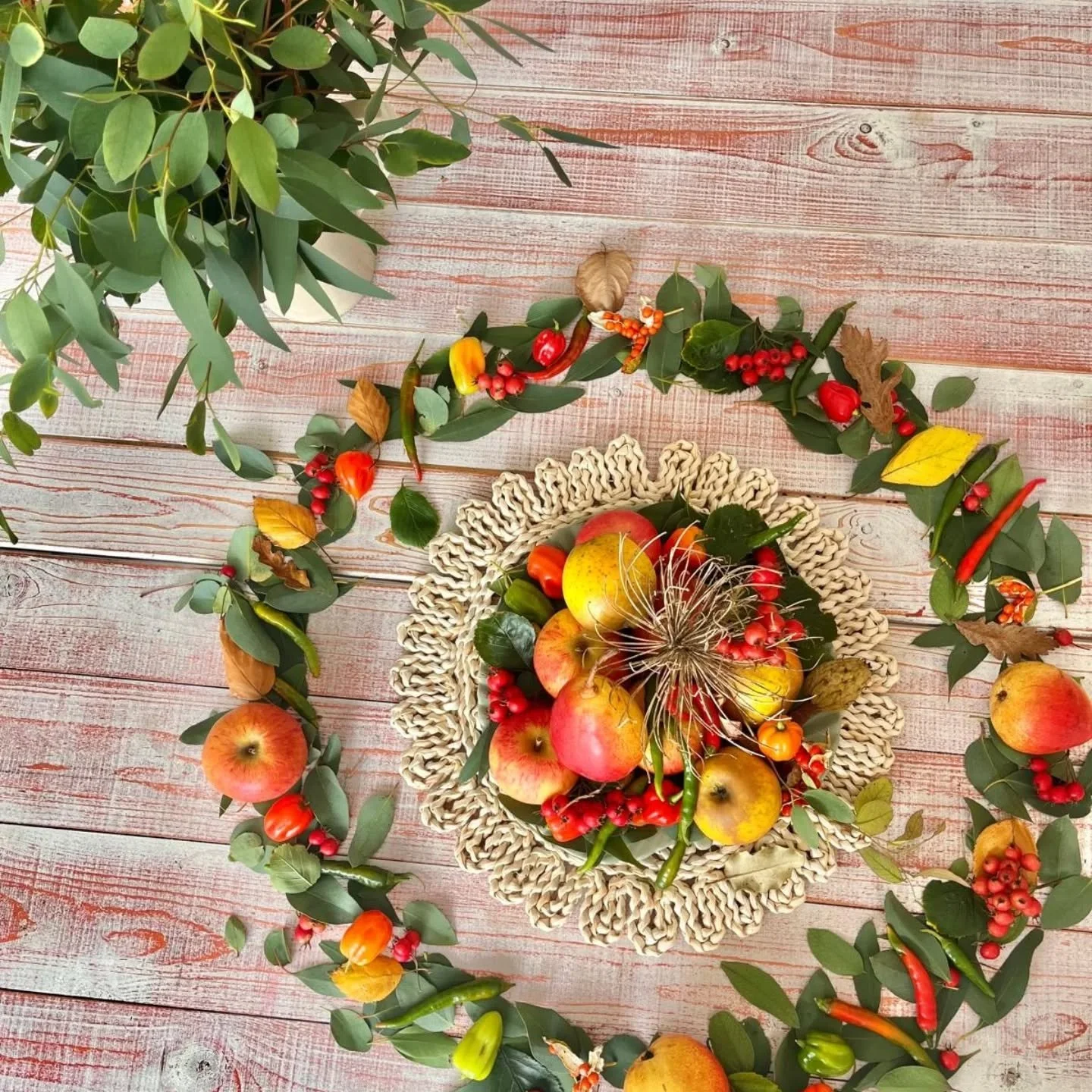 Fruits of the season..... beautiful pictures as we plan and launch our events season for autumn and winter at @thegardenershousepenzance