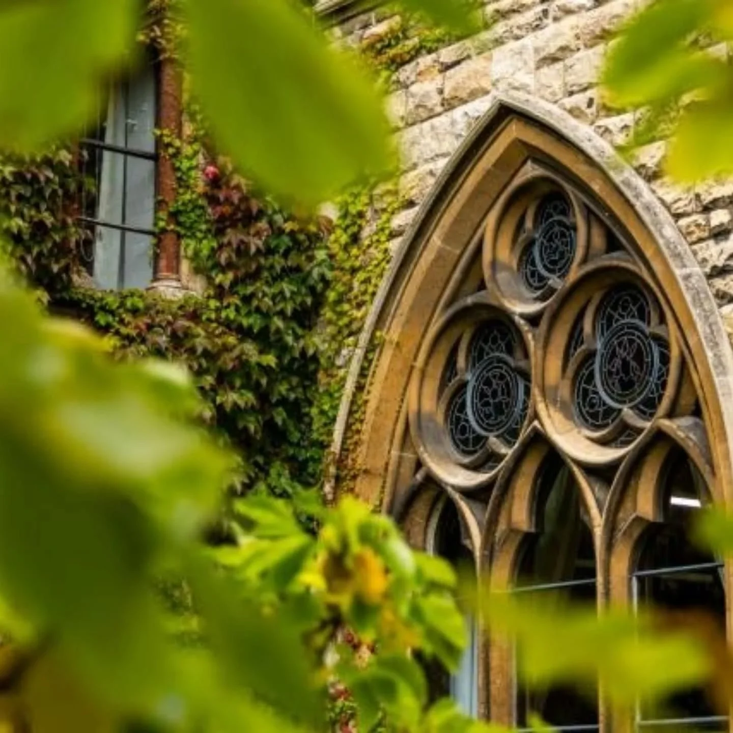 I've been quiet on here for the last six months but it's not been quiet on the work front....lots and lots to report on but I've been too busy to tell social media about it. 

One of the big projects I've been a part of is the new branding, website a