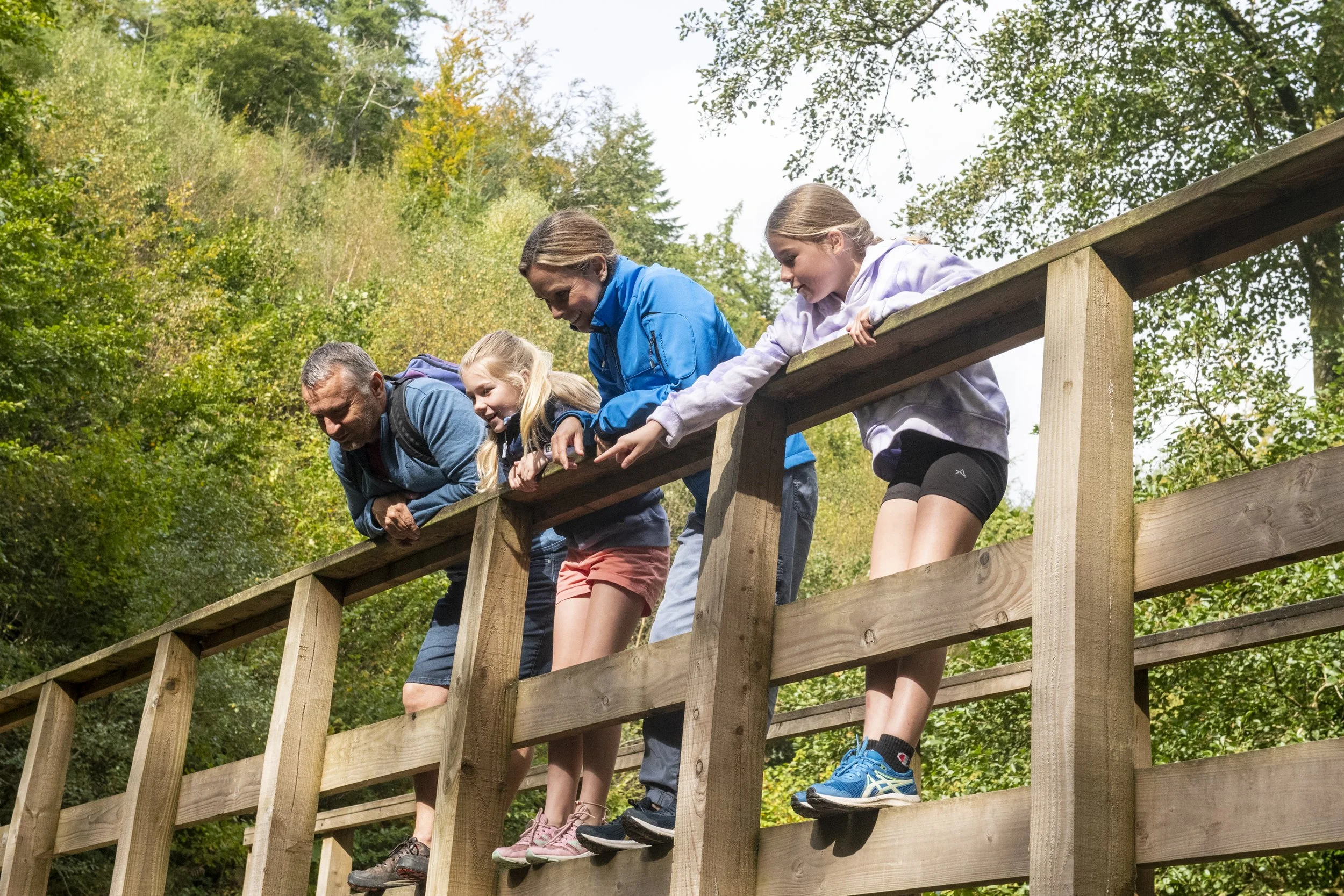 FE Cardinham LR-8436.jpg