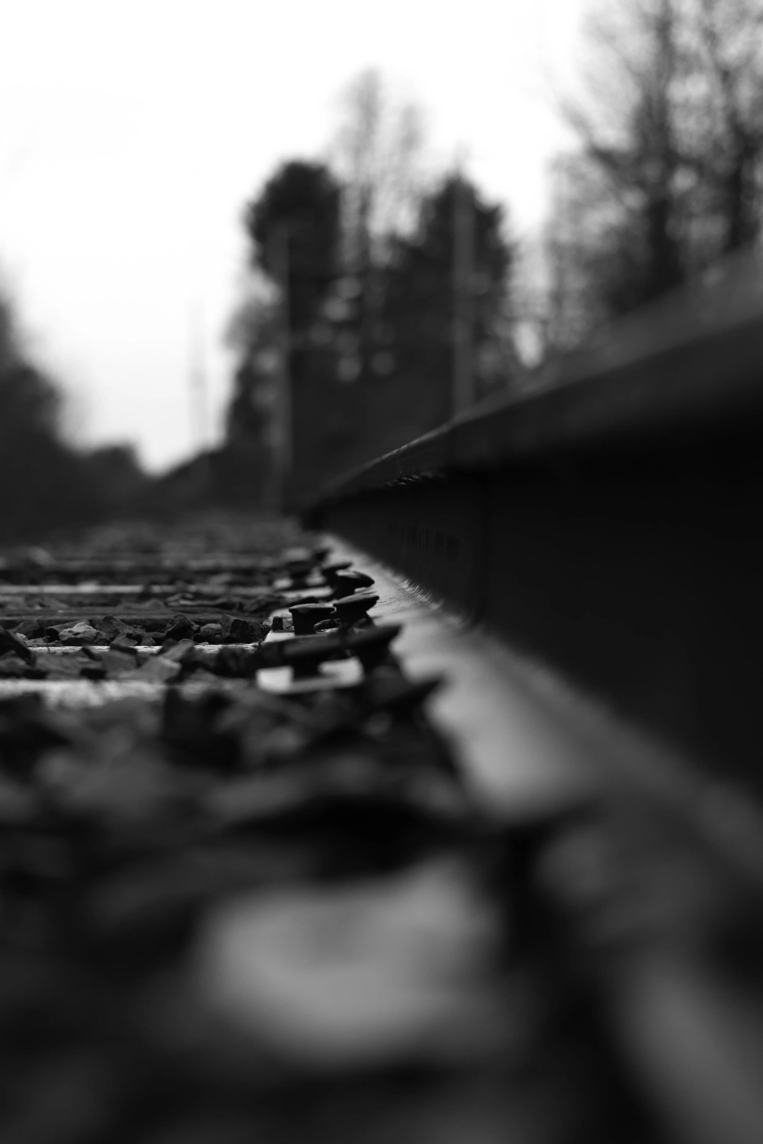 Short DOF Tracks.jpg