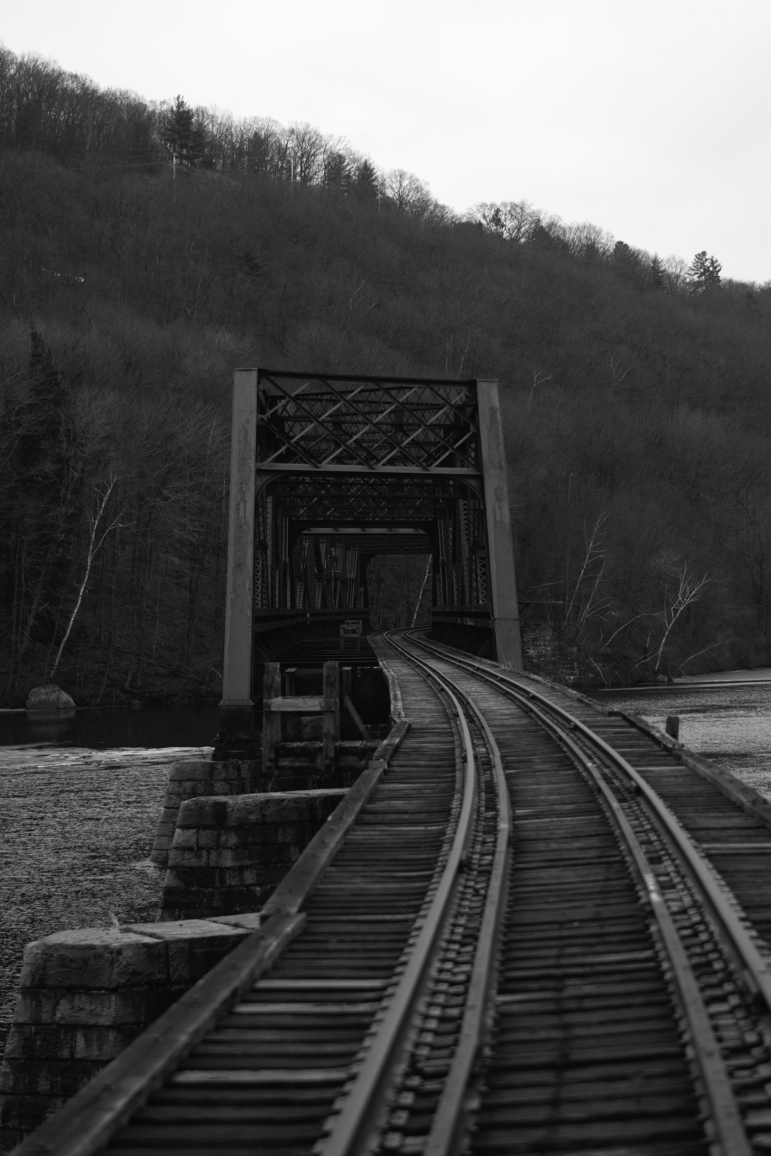 Trellis bridge.jpg