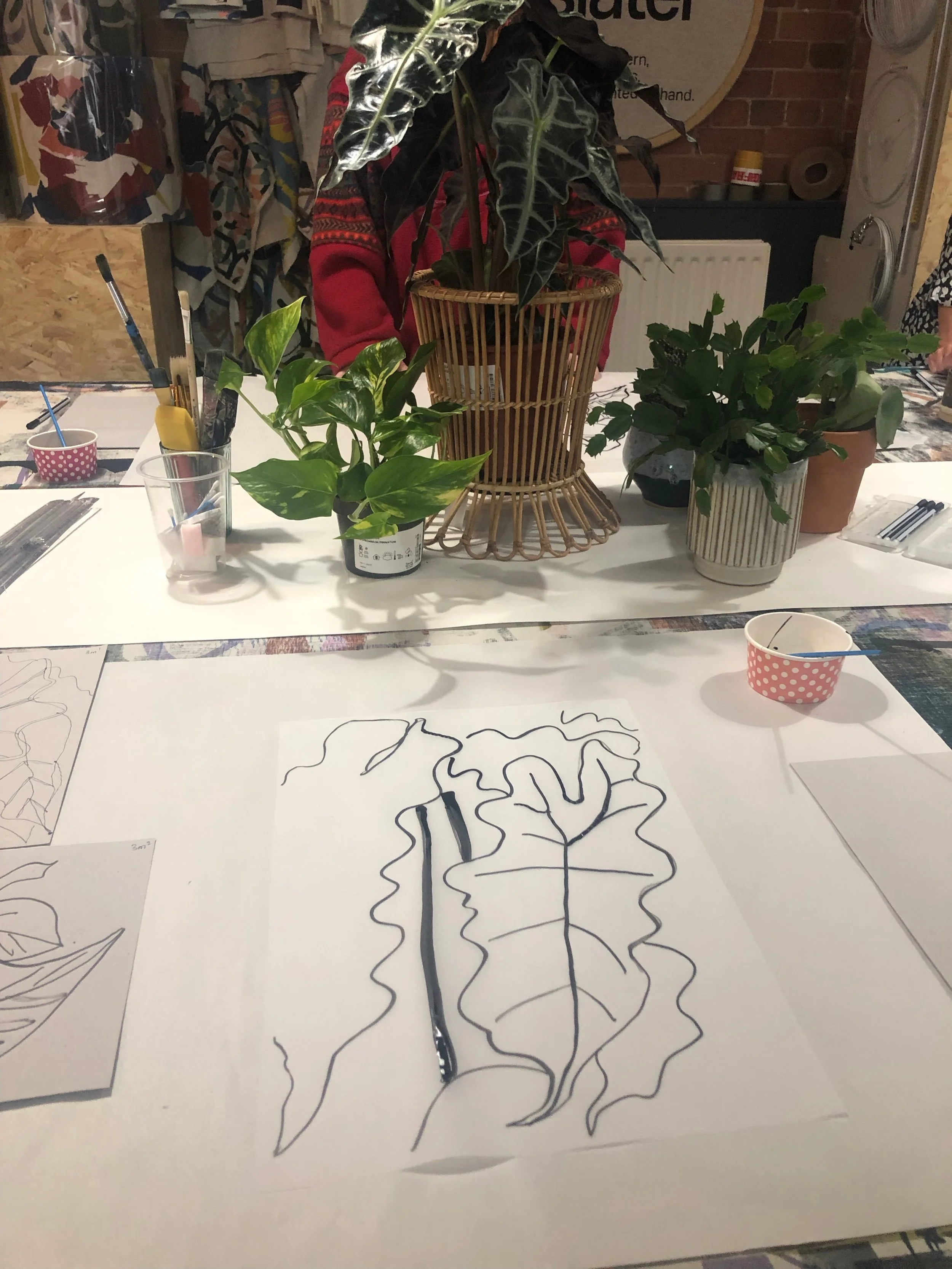 IMG_2932.jpeg