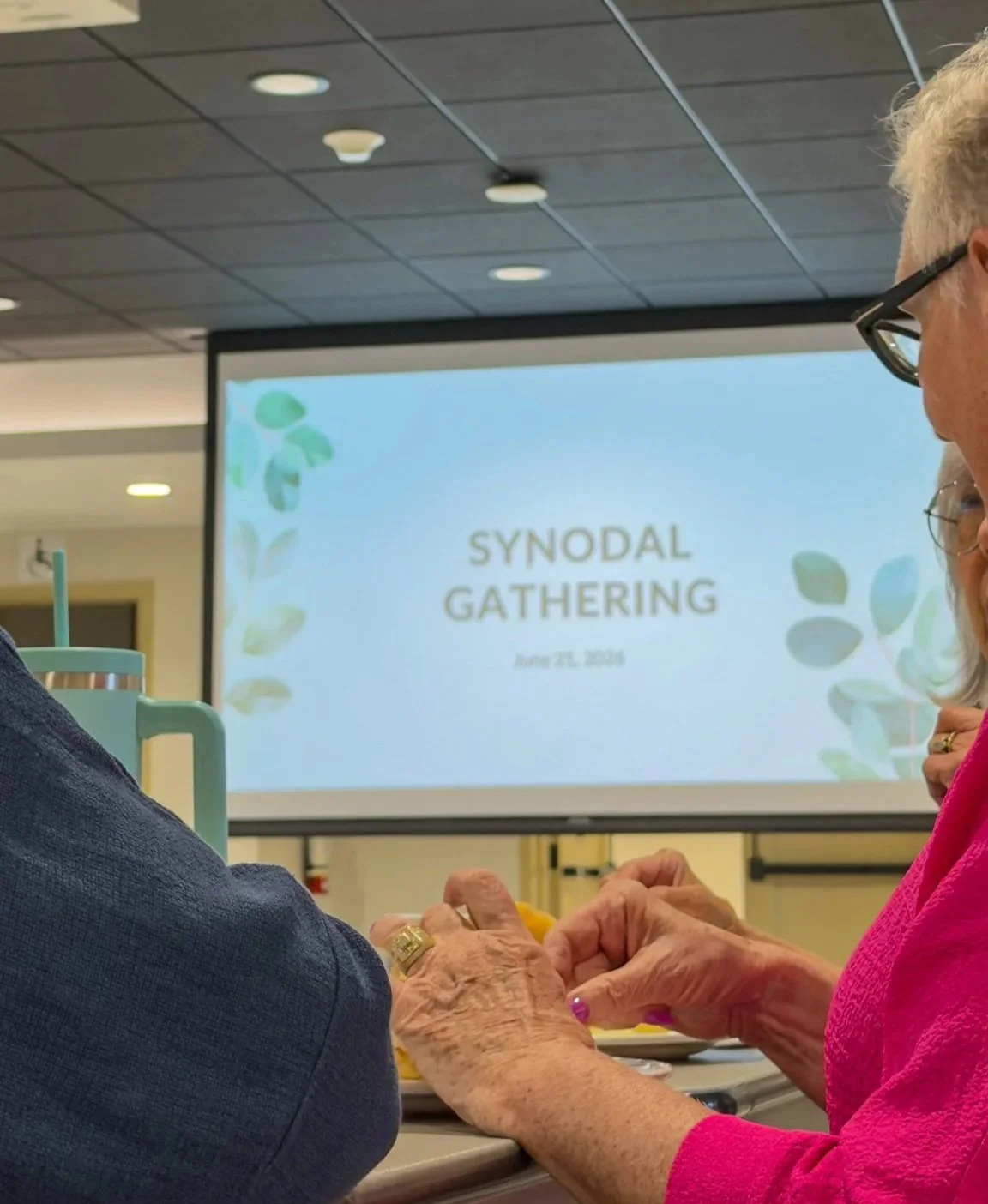 June 2026 Synodal Gathering