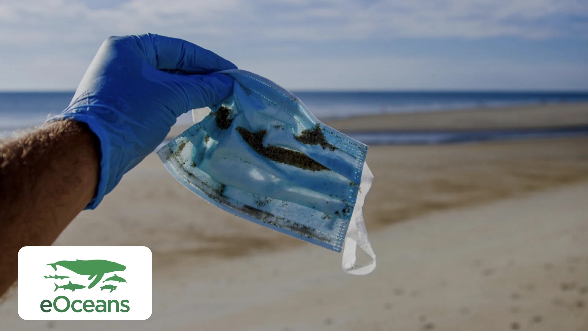 Our Ocean in COVID-19