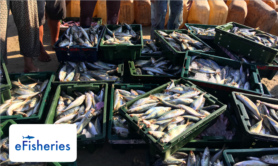 eFisheries 