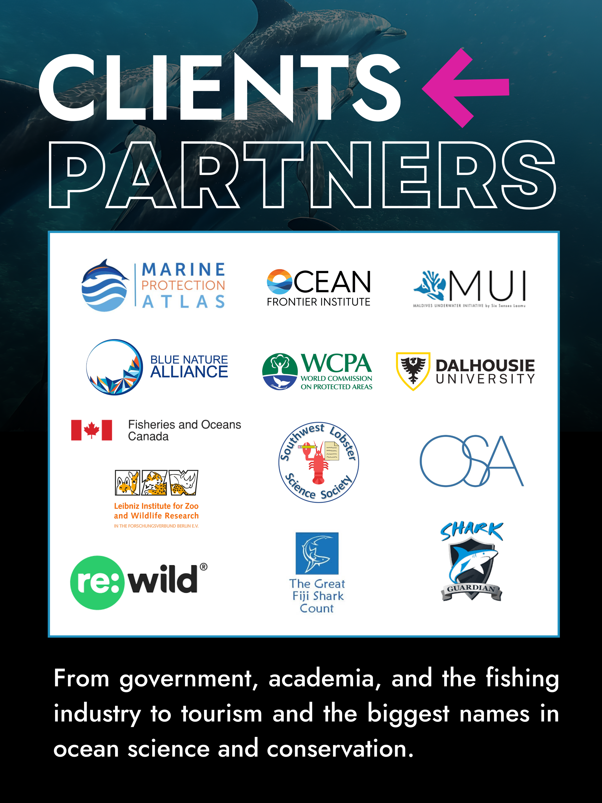 Project Links (3).png