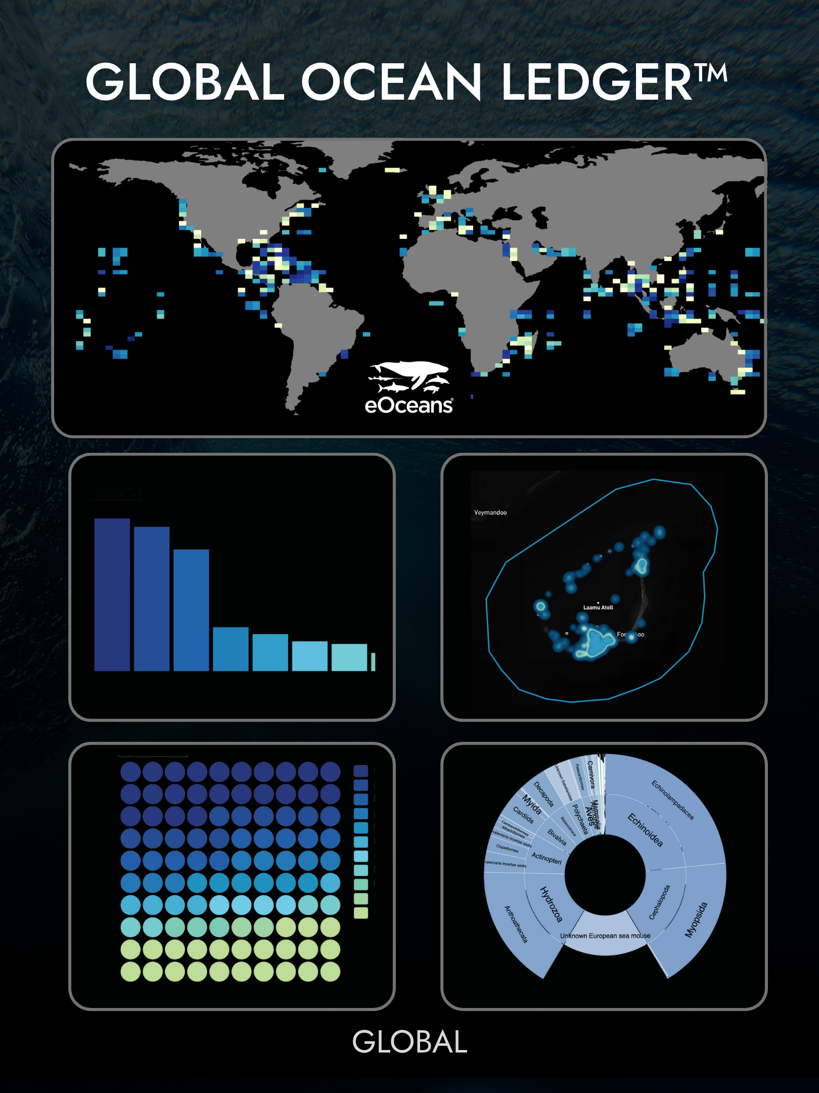 Map showing global ocean data with charts and graphs related to ocean research by eOceans, including a world map with data points, bar chart, a density plot, a scatter plot, a dot matrix, and a circular chart of sea mammals.